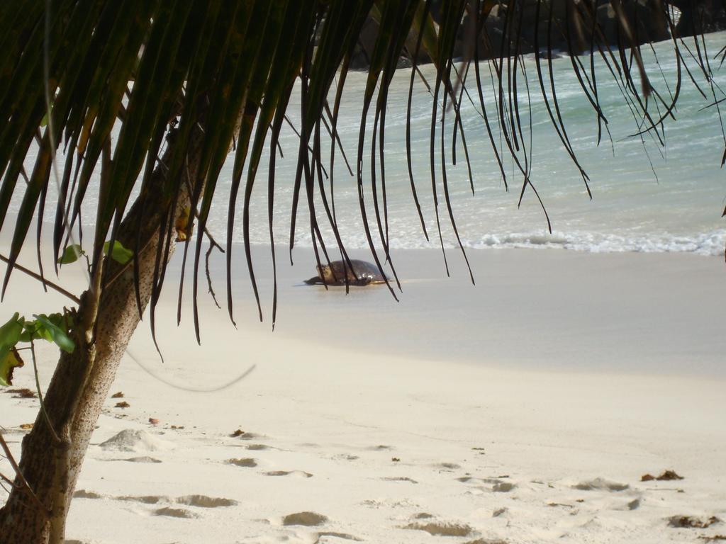 Villa Belle Plage Anse Kerlan Eksteriør billede